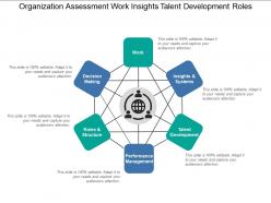 Organization assessment work insights talent development roles