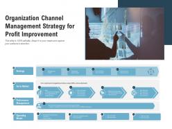 Organization channel management strategy for profit improvement