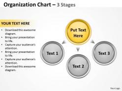 Organization chart 3 stages 25
