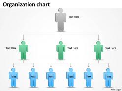 Organization chart 9 steps 28