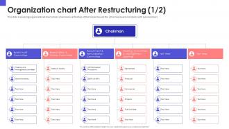 Organization chart after restructuring audit organizational chart and business model restructuring
