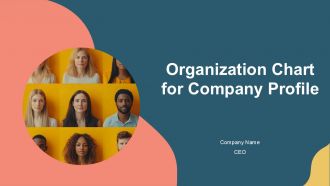 Organization Chart For Company Profile PPT Template AT
