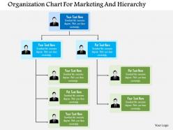 Organization chart for marketing and hierarchy flat powerpoint design