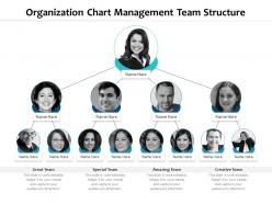 Organization chart management team structure infographic template