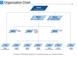Organization chart ppt infographics