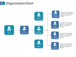 Organization chart ppt infographics pictures