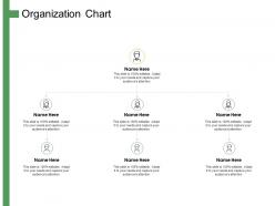 Organization chart ppt powerpoint presentation summary infographics