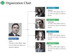 Organization chart ppt summary slide