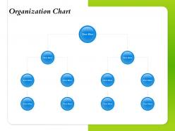 Organization chart process ppt powerpoint presentation introduction