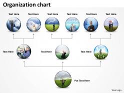Organization chart round diagram 4
