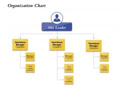 Organization chart site leader ppt powerpoint presentation styles graphics download