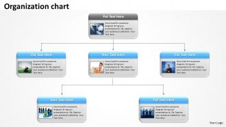 Organization chart templates 30
