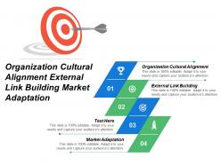 Organization cultural alignment external link building market adaptation cpb