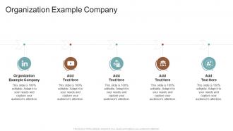 Organization Example Company In Powerpoint And Google Slides Cpb