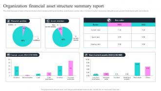 Organization Financial Asset Structure Summary Report