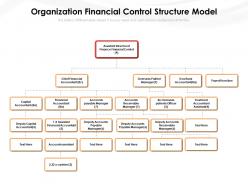 Organization financial control structure model