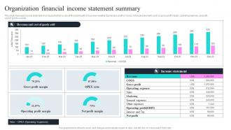 Organization Financial Income Statement Summary