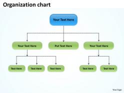 Organization flow chart 36