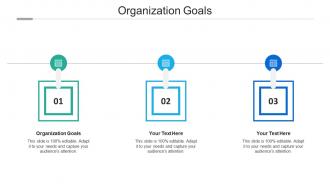 Organization goals ppt powerpoint presentation outline visual aids cpb