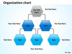 Organization graph 38