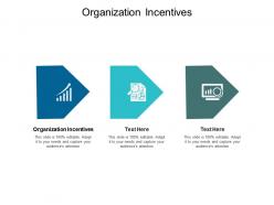 Organization incentives ppt powerpoint presentation slides introduction cpb