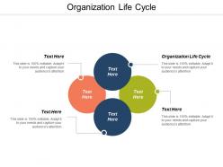 Organization life cycle ppt powerpoint presentation gallery layout ideas cpb