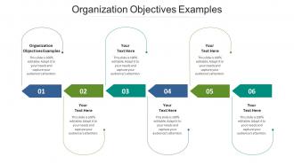 Organization objectives examples ppt powerpoint presentation portfolio deck cpb