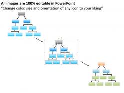 13097909 style hierarchy 1-many 1 piece powerpoint presentation diagram infographic slide