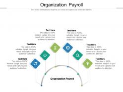 Organization payroll ppt powerpoint presentation infographics skills cpb