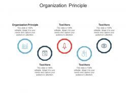 Organization principle ppt powerpoint presentation show diagrams cpb