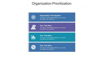 Organization prioritization ppt powerpoint presentation ideas demonstration cpb