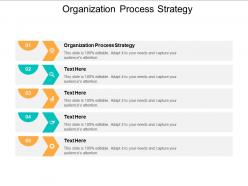 Organization process strategy ppt powerpoint presentation infographic template designs cpb