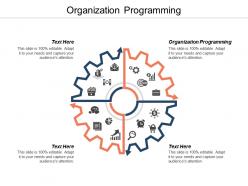 Organization programming ppt powerpoint presentation gallery example introduction cpb