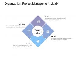 Organization project management matrix ppt powerpoint presentation portfolio slides cpb