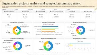 Organization Projects Analysis And Completion Summary Report