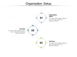 Organization setup ppt powerpoint presentation outline icons cpb