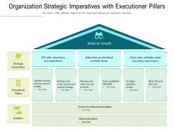 Organization strategic imperatives with executioner pillars
