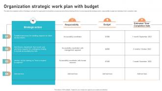 Organization Strategic Work Plan With Budget