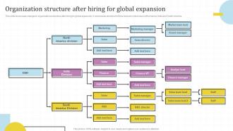 Organization Structure After Hiring For Global Market Assessment And Entry Strategy For Business Expansion