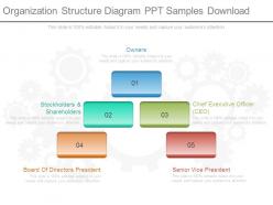 Organization structure diagram ppt samples download