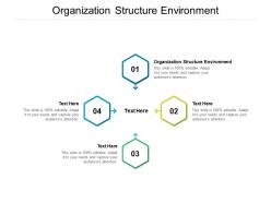 Organization structure environment ppt powerpoint presentation summary layout cpb