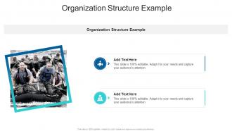 Organization Structure Example In Powerpoint And Google Slides Cpb