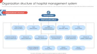 Organization Structure Of Hospital Strategies For Enhancing Hospital Strategy SS V