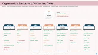 Organization Structure Of Marketing Team Ecommerce Advertising Platforms In Marketing