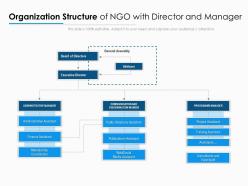 Organization Structure Of NGO With Director And Manager