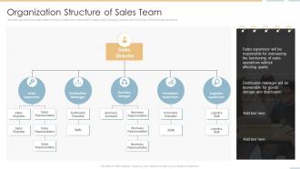 Organization Structure Of Sales Team Creating Competitive Sales Strategy