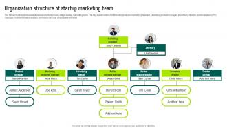 Organization Structure Of Startup Marketing Team Marketing Your Startup Best Strategy SS V
