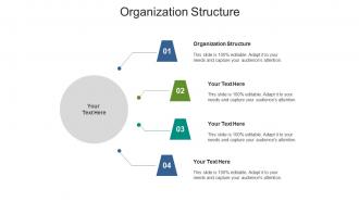 Organization structure ppt powerpoint presentation layouts visuals cpb