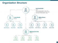 Organization structure ppt template
