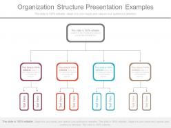 Organization structure presentation examples